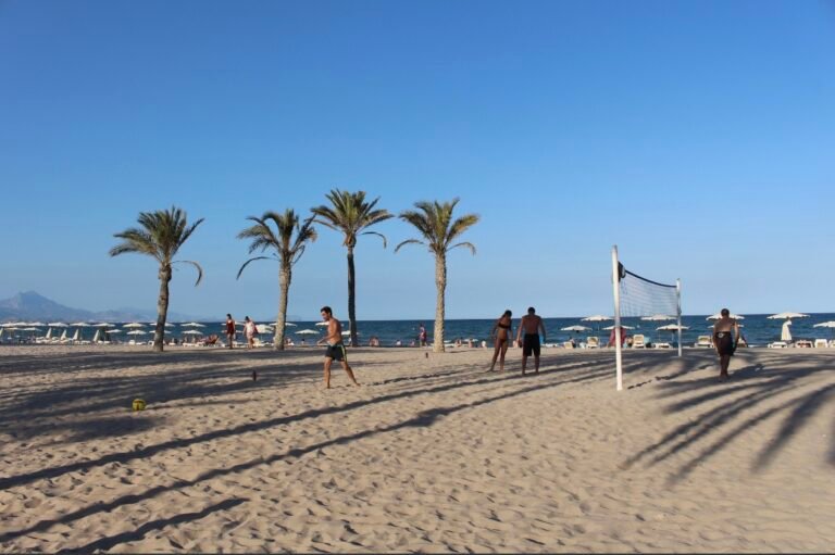 Red de voleibol y palmeras en la playa de El Campello