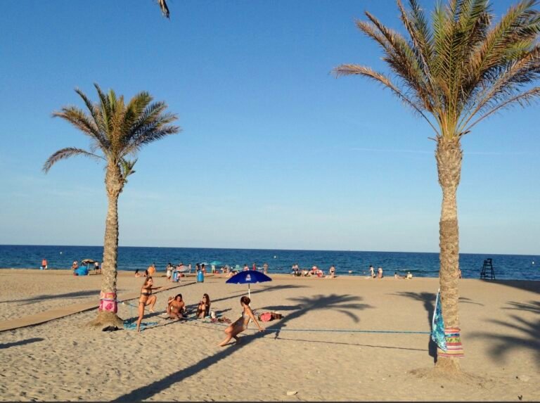 Playa de El Campello con palmeras, arena y vistas al Mediterráneo